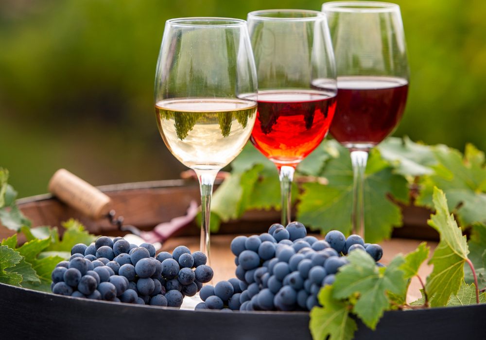 Dégustation de vin