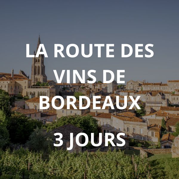 La route des vins de Bordeaux